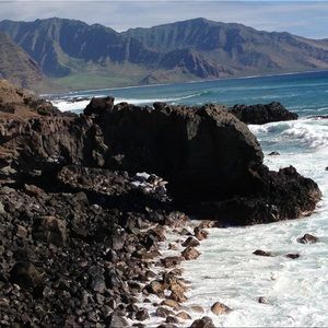 Meet your Posher, Kevin